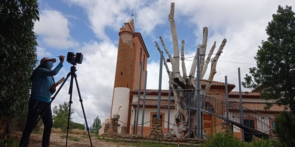 Reconstrucción en 3D del negrillón de Velilla de la Reina